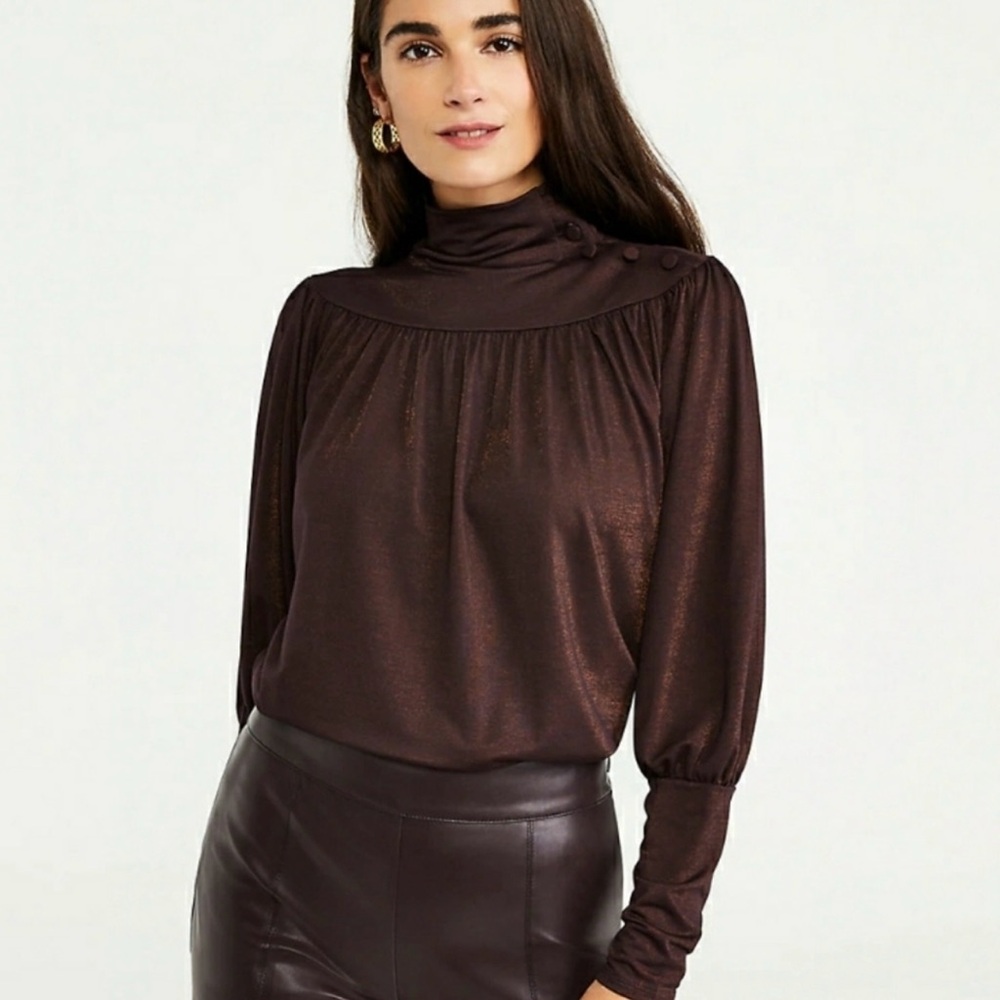 Ann Taylor Plum Brown Metslllic Sheen Long Sleeve Top